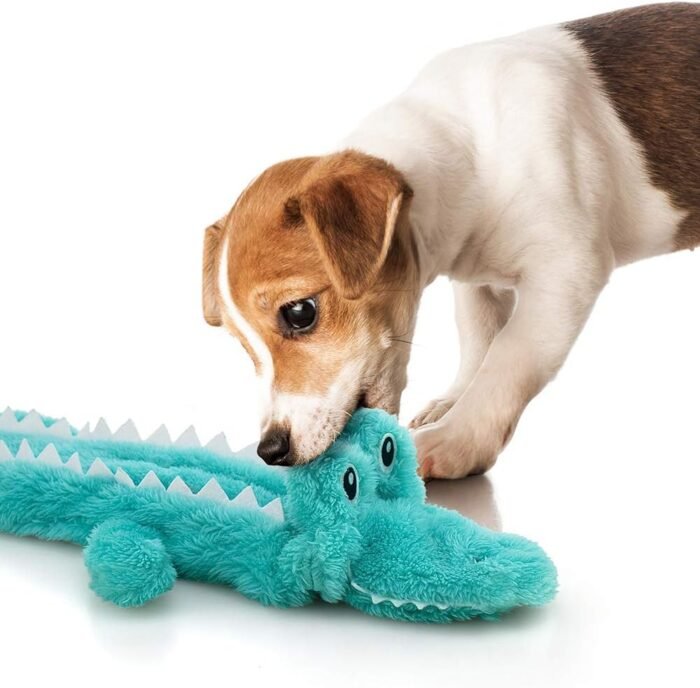Dog Toys No Stuffing, 5 Pack Dog Squeaky Toys Durable Dog Chew Toy Set for Puppy Small Medium Large Dog