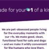 I AND LOVE AND YOU Wet Dog Food - Flew The Coop Variety Pack - Chicken + Turkey, Grain Free, Filler Free 13oz can, 6pk - Image 4