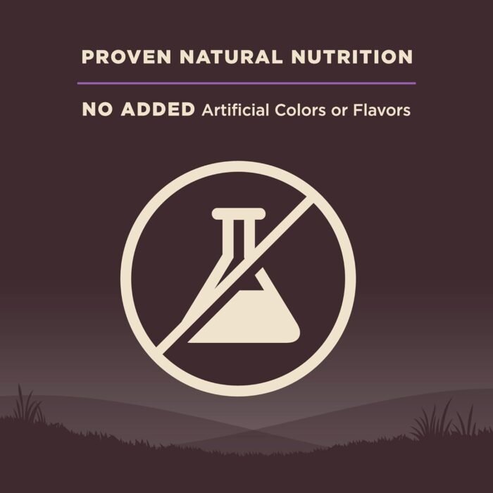 Wellness CORE Grain-Free Senior Dry Dog Food, Made in USA with Natural Ingredients, No Meat by-Product, Fillers, Artificial Flavors, or Preservatives (4-Pound Bag, Turkey)