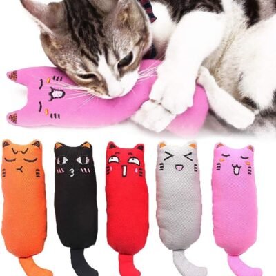 5Pcs Bite Resistant Catnip Toy for Cats,Catnip Filled Cartoon Mice Cat Teething Chew Toy