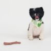 SPOT Bam-Bones Plus Branch -Bamboo Fiber & Nylon, Durable Long Lasting Dog Chew for Aggressive Chewers – Great Toy for Adult Dogs & Teething Puppies Under 60lbs, Non-Splintering, 5.75in, Beef Flavor - Image 13