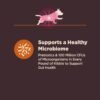Wellness CORE Digestive Health Dry Dog Food with Wholesome Grains, Highly Digestible, for Dogs with Sensitive Stomachs, Made in USA with Real Protein (Small Breed, Chicken & Brown Rice, 4-Pound Bag) - Image 5