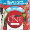 Purina ONE Plus Wet Puppy Food Classic Ground Healthy Puppy Lamb and Long Grain Rice Entree - (Pack of 12) 13 oz. Cans