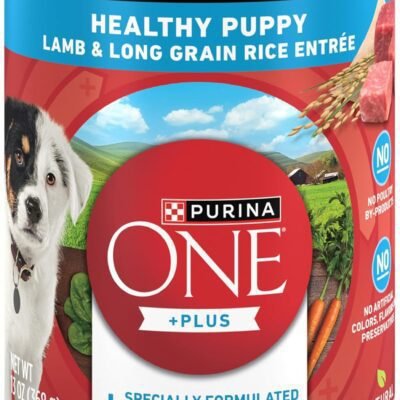 Purina ONE Plus Wet Puppy Food Classic Ground Healthy Puppy Lamb and Long Grain Rice Entree - (Pack of 12) 13 oz. Cans