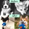 Snuffle Ball for Dog Toys Unbreakable Upgrade Ball Interactive Toy Foraging Snuffle Mat Puppy Treat Dispenser Slow Feeder Dog Puzzle Toys for Small, Medium, Large Pets (Blue) - Image 5