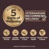 Wellness CORE Digestive Health Dry Dog Food with Wholesome Grains, Highly Digestible, for Dogs with Sensitive Stomachs, Made in USA with Real Protein (Small Breed, Chicken & Brown Rice, 4-Pound Bag) - Image 3