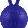 Jolly Pets Tug-n-Toss Dog Toy Ball with Handle, 8 Inches/Large, Blue