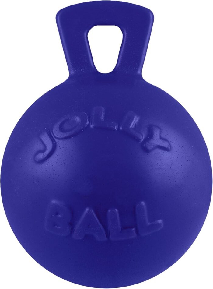 Jolly Pets Tug-n-Toss Dog Toy Ball with Handle, 8 Inches/Large, Blue
