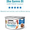 Purina Beneful Small Breed Wet Dog Food With Gravy, IncrediBites with Real Beef - (8 Packs of 3) 3 oz. Cans - Image 7