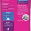 Solid Gold Dry Dog Food Small Breeds - Made with Real Beef - Grain & Gluten Free Small Breed Dog Food - 4 LB Bag - Image 7