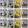 Taste of the Wild Grain-Free Canned Dog Food Variety Pack - Wetlands, Pacific Stream, High Prairie, and Sierra Mountain Pack of 12, 13.2 ounce cans by Taste of the Wild