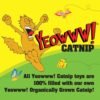 Yeowww! Catnip Toy, Yellow Banana - Image 4