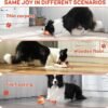 Interactive Dog Ball, Random Path Electric Automatic Moving and Rolling Dogs Toy with Rope for Small Medium Large Dogs, Motion-Activated Dog Stimulation Toy for Boredom Relief (Orange)