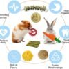 Grddaef 20 PCS Bunny Chew Toys for Teeth, Natural Rabbit Toys Apple Wood Grass Timothy Sticks Chew and Treat for Guinea Pigs Hamster Chinchillas