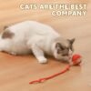 Chewie Viral Rolling Ball,Interactive Rolling Dog Ball Toy,Interactive Cat Ball Toy,Interactive Cat Dog Toys Ball Fast Rolling,360° Smart Automatic Rolling Pet Ball (red) - Image 2