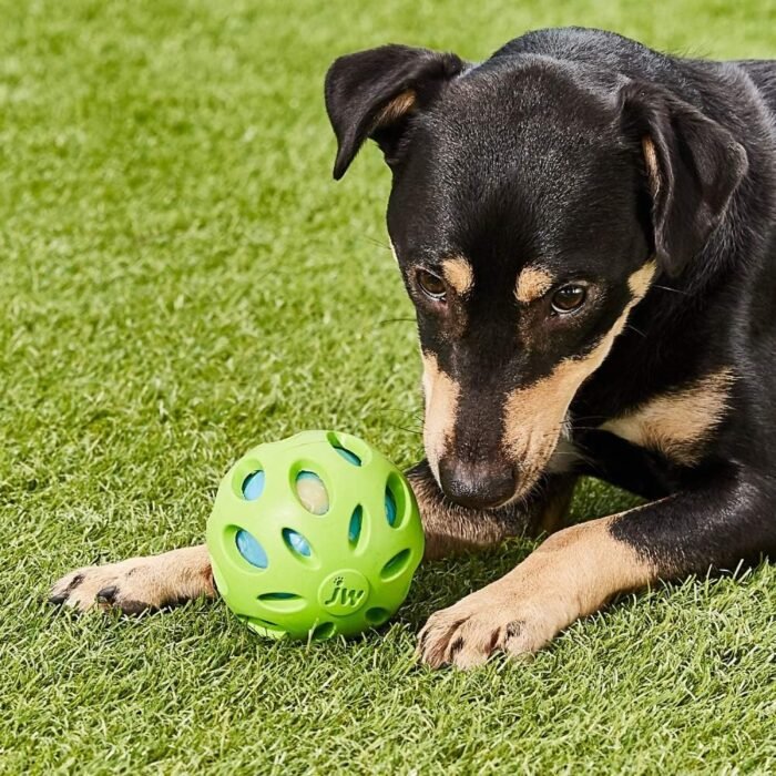 JW Pet Crackle Heads Crackle Ball Crunchy Noise Chew Fetch Toy for Dogs, Assorted Colors, Large 4' Diameter