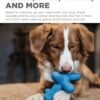 Outward Hound Latex Rubber Balloon Squeaky Dog Toy, Blue, Large - Image 4