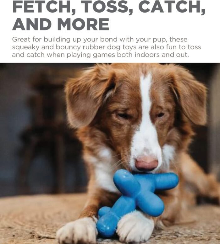 71g6PwoBPjL._AC_SL1500_.jpg Outward Hound Latex Rubber Balloon Squeaky Dog Toy, Blue, Large