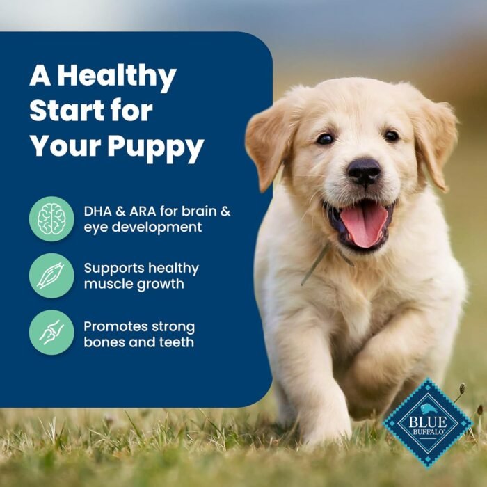 Blue Buffalo Life Protection Formula Puppy Dry Dog Food with DHA and ARA, Made with Natural Ingredients, Lamb & Oatmeal Recipe, 5-lb Bag