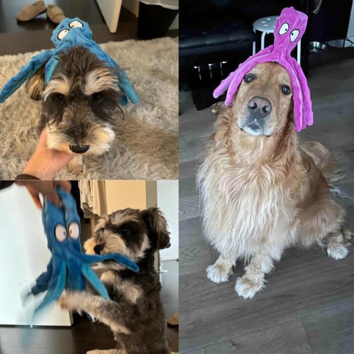 HGB Squeaky Dog Toys - Octopus No Stuffing Crinkle Plush Large Dog Toys to Keep Them Busy for Puppy Teething Chewing, Pet Supplies for Small, Medium, and Large Breeds, 2 Pack