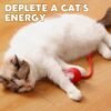 Chewie Viral Rolling Ball,Interactive Rolling Dog Ball Toy,Interactive Cat Ball Toy,Interactive Cat Dog Toys Ball Fast Rolling,360° Smart Automatic Rolling Pet Ball (red) - Image 7
