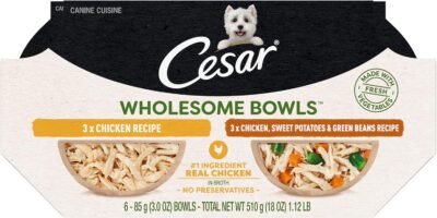 CESAR WHOLESOME BOWLS Adult Wet Dog Food, Chicken Recipe and Chicken, Sweet Potatoes & Green Beans Recipe Variety Pack, 3 oz., Pack of 6