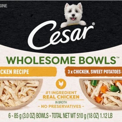 CESAR WHOLESOME BOWLS Adult Wet Dog Food, Chicken Recipe and Chicken, Sweet Potatoes & Green Beans Recipe Variety Pack, 3 oz., Pack of 6