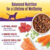 Wellness Complete Health Thick & Chunky Natural Grain Free Canned Wet Dog Food, Beef Stew, 12.5-Ounce Can (Pack of 12) - Image 4
