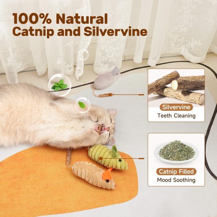 Potaroma Cat Toys: 3pcs Squeak Mice Interactive Catnip Silvervine Animals for Indoor Kittens - Dental Matatabi Cat Nip & Chew Exercise Toy for All Breeds & Species