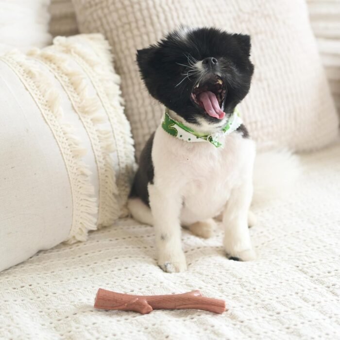 SPOT Bam-Bones Plus Branch -Bamboo Fiber & Nylon, Durable Long Lasting Dog Chew for Aggressive Chewers – Great Toy for Adult Dogs & Teething Puppies Under 60lbs, Non-Splintering, 5.75in, Beef Flavor