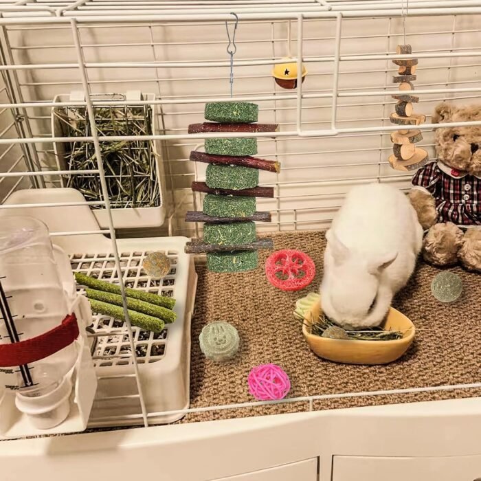 Grddaef 20 PCS Bunny Chew Toys for Teeth, Natural Rabbit Toys Apple Wood Grass Timothy Sticks Chew and Treat for Guinea Pigs Hamster Chinchillas