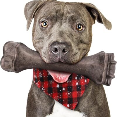 Dog Toys for Aggressive Chewers, Indestructible Bones Toy for Aggressive Chewers, Tough Puppy Chew Toy for Heavy Duty Dogs, Big Dog Teething Toys with Durable Nylon for Large/Medium Breed Puppies