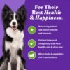 Halo Holistic Adult Dog Vegan Plant-Based Recipe with Superfoods 3.5 lb Bag