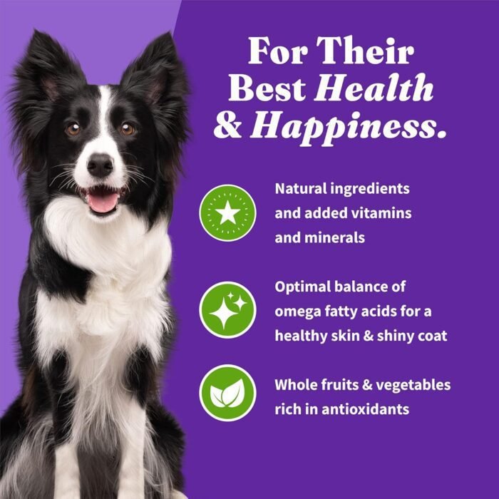 Halo Holistic Adult Dog Vegan Plant-Based Recipe with Superfoods 3.5 lb Bag