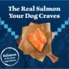 Blue Buffalo Wilderness Natural High-Protein Dry Food for Adult Dogs, Salmon Recipe, 4.5-lb. Bag - Image 3