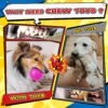 Zeaxuie 12 Pack Heavy Duty Various Dog Chew Toys Pack for Aggressive Chewers - Includes Large Rope Toy, Squeaky Toys & Indestructible Chew Bone for Medium, Large & X-Large Breeds Dogs - Image 3