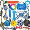 Beiker Dog Teething Chew Toys - 15 Pack Tough Small Medium Large Breed Puppy Toys, Dogs Rope Chew Toys Bundle for Boredom, Pet Interactive Squeaky Treat Dispensing Ball for Puppies