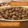Rachael Ray Nutrish Dry Dog Food, Turkey, Brown Rice & Venison Recipe for Weight Management, 5.5 Pounds