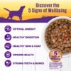 Wellness Complete Health Thick & Chunky Natural Grain Free Canned Wet Dog Food, Beef Stew, 12.5-Ounce Can (Pack of 12) - Image 3