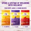 Wellness Complete Health Dry Dog Food, Wholesome Grains, Natural, Whitefish & Sweet Potato Recipe, (30-Pound Bag) - Image 8