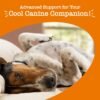 Zesty Paws Calming Chews for Dogs - for Everyday Stress, Relaxation, Composure, and Separation, 90 Count, Turkey - Melatonin - Image 8