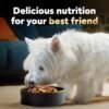CESAR Adult Wet Dog Food Loaf & Topper in Sauce Rotisserie Chicken Flavor with Bacon & Cheese, 3.5 oz. Easy Peel Trays, Pack of 24 - Image 8