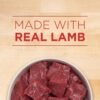 Purina ONE Plus Wet Puppy Food Classic Ground Healthy Puppy Lamb and Long Grain Rice Entree - (Pack of 12) 13 oz. Cans - Image 2
