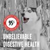 BIXBI Rawbble Freeze Dried Dog Food, Beef Recipe, 12 oz - 98% Meat and Organs, No Fillers - Pantry-Friendly Raw Dog Food for Meal, Treat or Food Topper - USA Made in Small Batches - Image 4