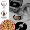 BIXBI Rawbble Freeze Dried Dog Food, Beef Recipe, 12 oz - 98% Meat and Organs, No Fillers - Pantry-Friendly Raw Dog Food for Meal, Treat or Food Topper - USA Made in Small Batches - Image 3