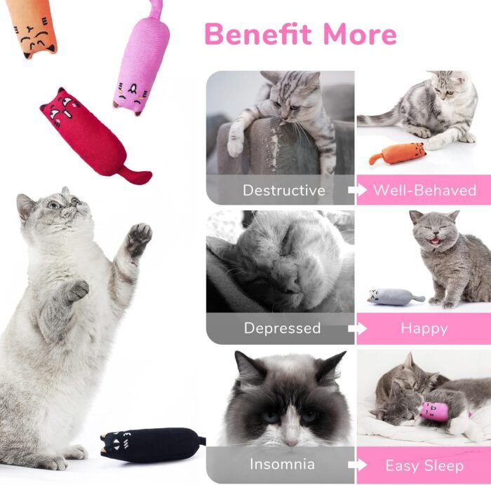 5Pcs Bite Resistant Catnip Toy for Cats,Catnip Filled Cartoon Mice Cat Teething Chew Toy