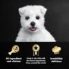 CESAR Puppy Wet Dog Food Classic Loaf in Sauce Chicken & Beef Recipe, (24) 3.5 oz. Easy Peel Trays - Image 6