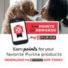 Purina Beneful Wet Dog Food, Chopped Blends With Chicken - 10 oz. Tubs (Pack of 8) - Image 3