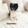SPOT Bam-Bones Plus Branch -Bamboo Fiber & Nylon, Durable Long Lasting Dog Chew for Aggressive Chewers – Great Toy for Adult Dogs & Teething Puppies Under 60lbs, Non-Splintering, 5.75in, Beef Flavor - Image 10