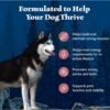 Blue Buffalo Wilderness Natural High-Protein Dry Food for Adult Dogs, Salmon Recipe, 4.5-lb. Bag - Image 4